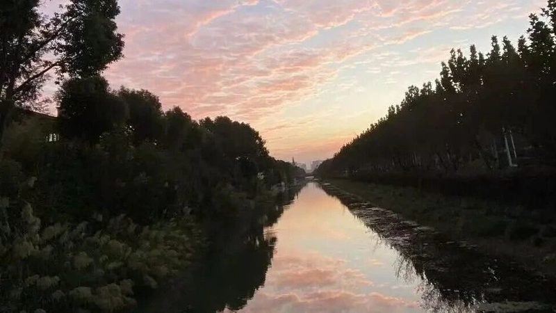 税务筹划参数配置表：构建合规高效的财务策略**